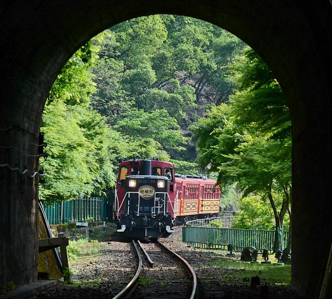 (京都站烏丸口出發)京都嵐山嵯峨野小火車×保津川遊船