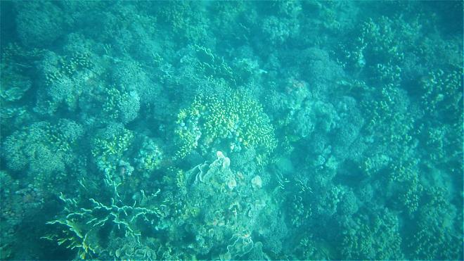 台東美麗灣獨木舟體驗｜加贈浮潛。看見珊瑚海
