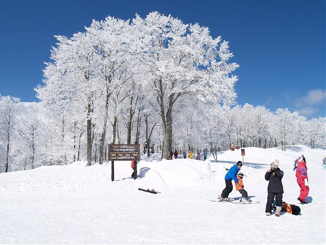 【日本滑雪】長野白馬滑雪趣–玩轉銀色世界之旅（全日課程）
