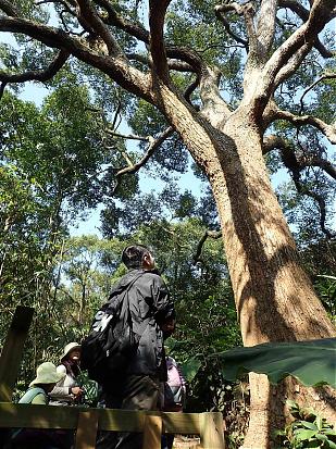 【機捷社區小旅行】農遊坑子溪‧樂活古厝自在遊