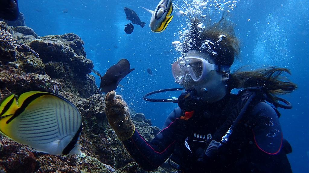 沖繩恩納村青洞體驗潛水