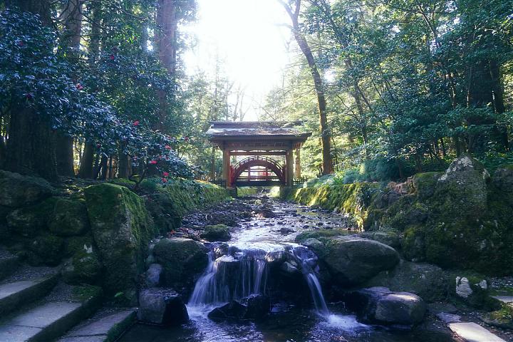 新潟深度體驗4日遊(田ノ浦温泉、弥彦、寺泊、燕、岩室温泉)