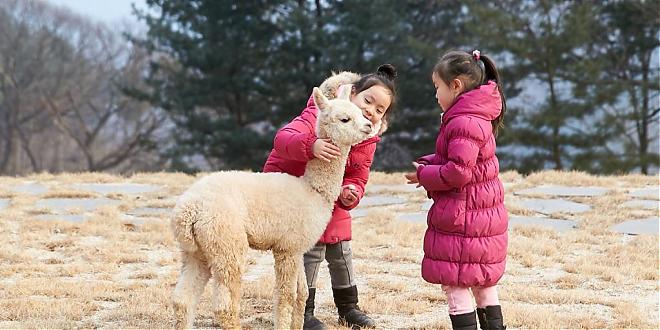 【首爾出發】草泥馬牧場+青春博物館+兩水頭公園一日遊