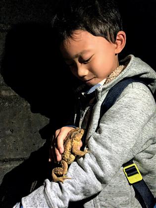 新北坪林螢火蟲生態觀察課｜日間賞鳥x夜間賞螢