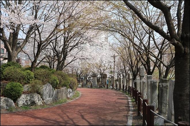 (首爾出發)宇宙星光花園+新景點壁畫村+湖水公園一日遊