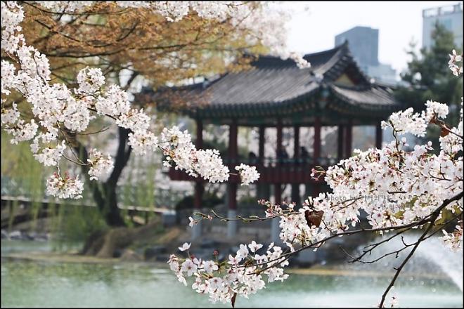 (首爾出發)宇宙星光花園+新景點壁畫村+湖水公園一日遊