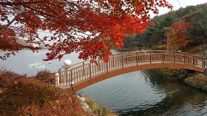(首爾出發)宇宙星光花園+新景點壁畫村+湖水公園一日遊