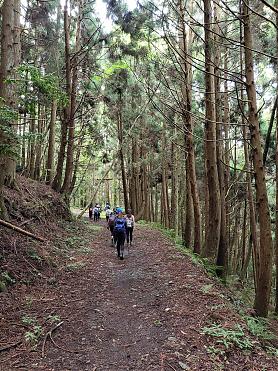 新竹霞喀羅古道兩天一夜．A進B出野營團｜清泉→養老