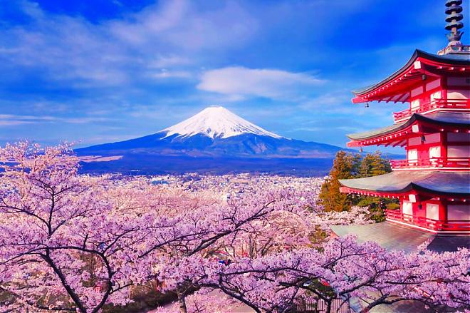 富士山新倉山淺間公園.河口湖絕景一日遊|品川.新宿出發