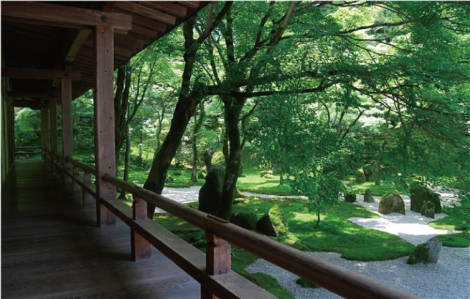 【超值套票】暢遊太宰府．柳川遊船．梅枝餅兌換