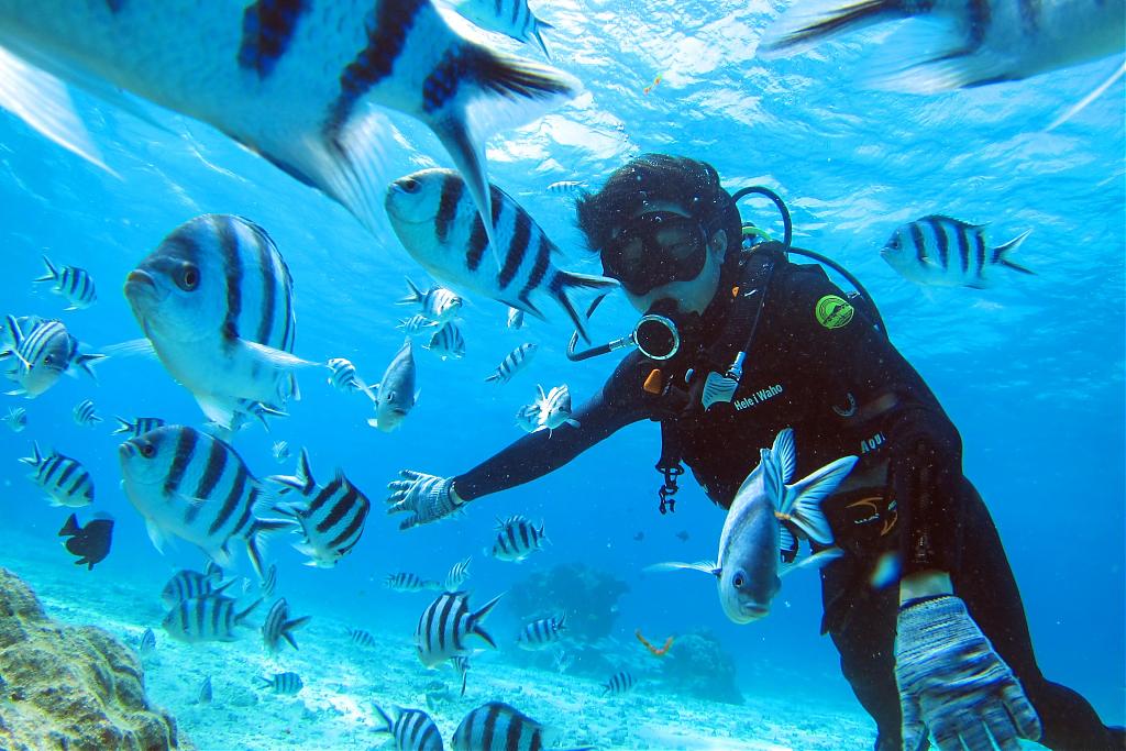 沖繩青洞潛水/ 初級體驗潛水(12歲以上/自行前往)