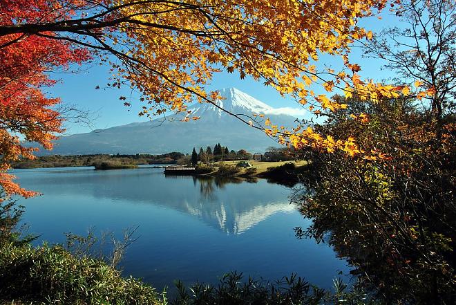 富士山.河口湖.御殿場Outlet一日遊(中文服務/上野.新宿出發)