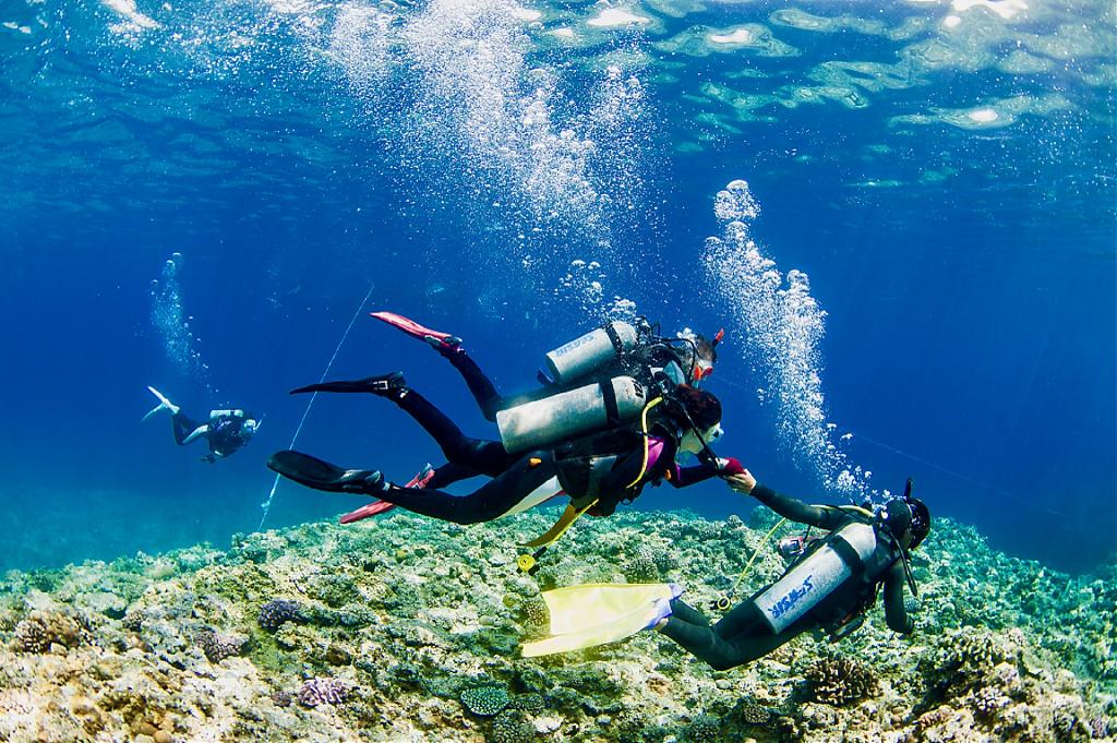 沖繩慶良間體驗潛水行程（含指定接送／午餐）