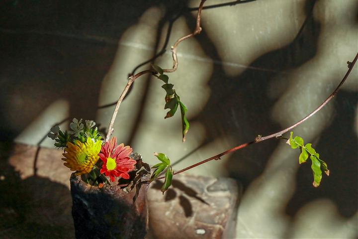 鶯歌陶藝美學一日｜光影花意與手作陶