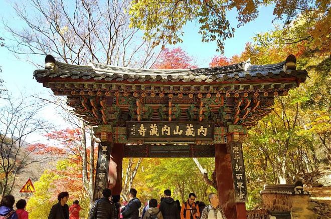 韓國全羅道內藏山賞楓一日遊｜南韓第一楓葉山
