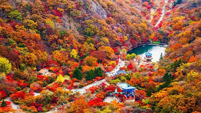 韓國全羅道內藏山賞楓一日遊｜南韓第一楓葉山