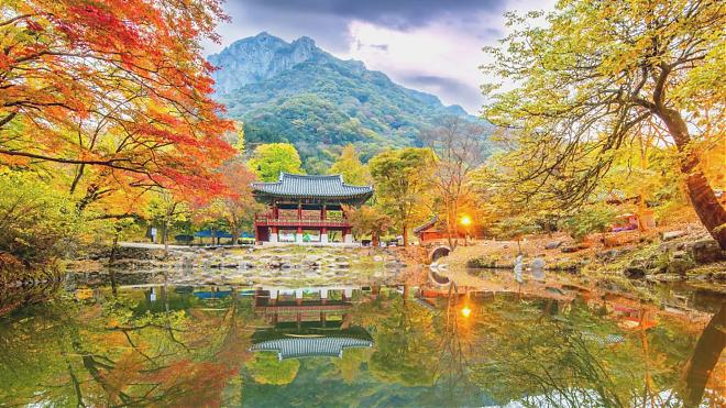 韓國全羅道內藏山賞楓一日遊｜南韓第一楓葉山
