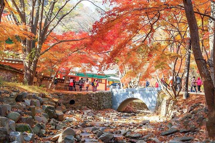 韓國全羅道內藏山賞楓一日遊｜南韓第一楓葉山