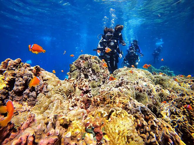 潛進蘭嶼清澈海域。體驗潛水入門｜一對一教學