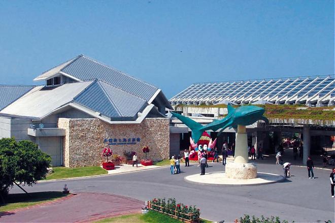 【沖繩】機場直達美麗海水族館｜來回巴士+門票