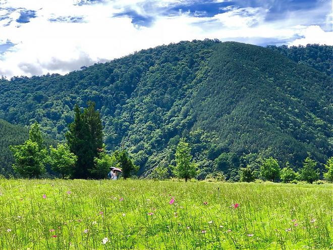 台中武陵農場X福壽山二日遊｜入住梨山賓館
