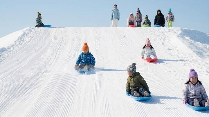 北海道親子冬日小旅行｜美瑛富良野5日