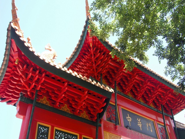 澳洲阿德萊德市區觀光半日遊｜中文司導