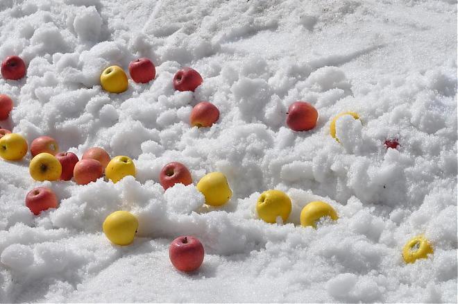 日本東北滑雪．溫泉精緻小包團四日（天天出發）