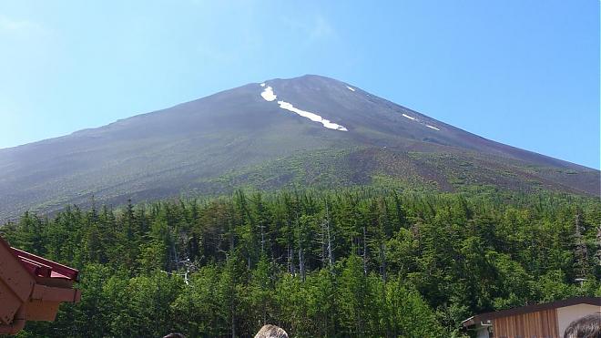 【期間限定】富士山五合目芝櫻祭Ｘ草莓吃到飽一日遊（東京出發）