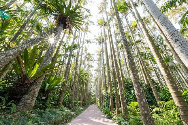 【親子旅遊】沖繩東南植物園電子入場券