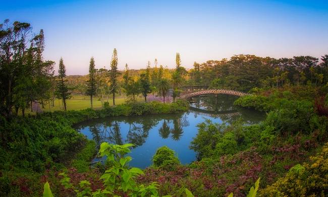 【親子旅遊】沖繩東南植物園電子入場券