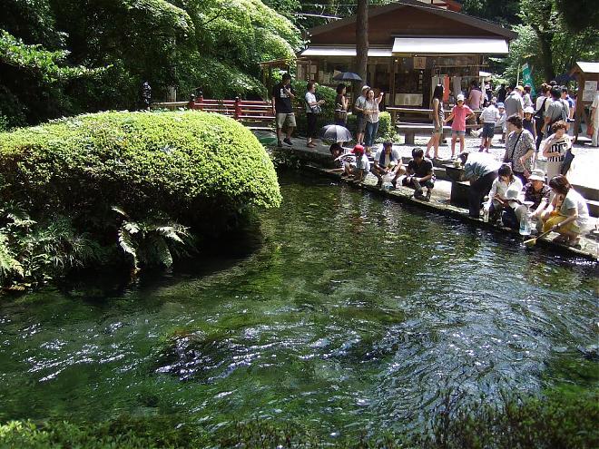 福岡出發|九州宮崎一日遊×高千穗峽.白川水源.天巖戶神社探訪神話故鄉