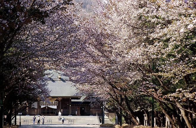【札幌近郊】惠庭．北廣島一日遊（含接送）