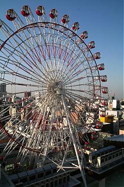 【札幌近郊】惠庭．北廣島一日遊（含接送）