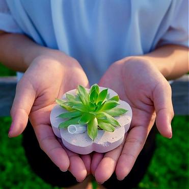 多肉植栽手作植癒力｜環保綠世界為心靈注入療癒力