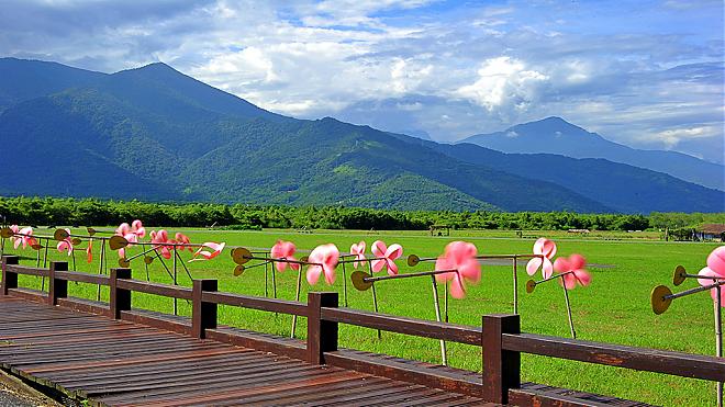 花蓮大農大富楓葉秘境包車一日遊｜9小時包車旅遊