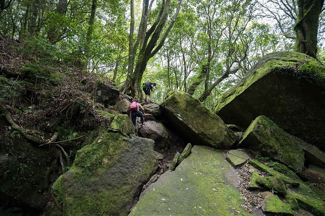 苗栗加里山一日單攻登山團｜登頂台版富士山