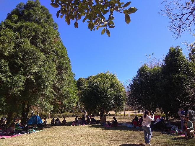 南投｜奧萬大森林步道健行 × 賽德克文化體驗｜2日遊