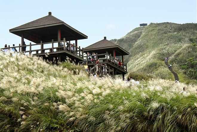 台北出發｜草嶺古道芒花季X頭城老街巴士一日遊