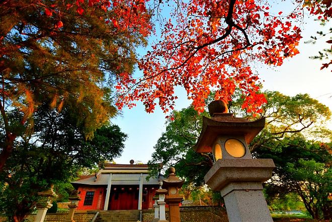 台中／台北出發｜苗栗通霄神社x白沙屯巴士一日遊