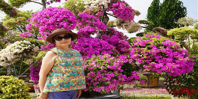 彰化田尾 | 花鄉綠意單車小旅行