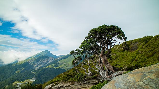 合歡山主北峰＆石門山二日登山行程｜最美百岳日出團