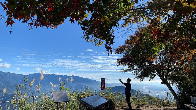 苗栗馬拉邦山步道。登小百岳一日｜1~3月採草莓