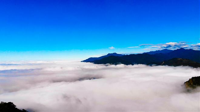 苗栗馬拉邦山步道。登小百岳一日｜1~3月採草莓