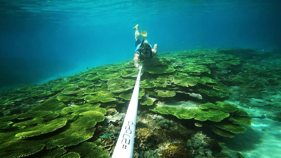 澎湖南方四島浮潛體驗。發現絕美珊瑚森林