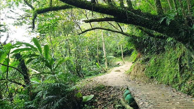 【山徑】新北三貂嶺越嶺猴硐一日健行｜瀑布、礦坑遺址