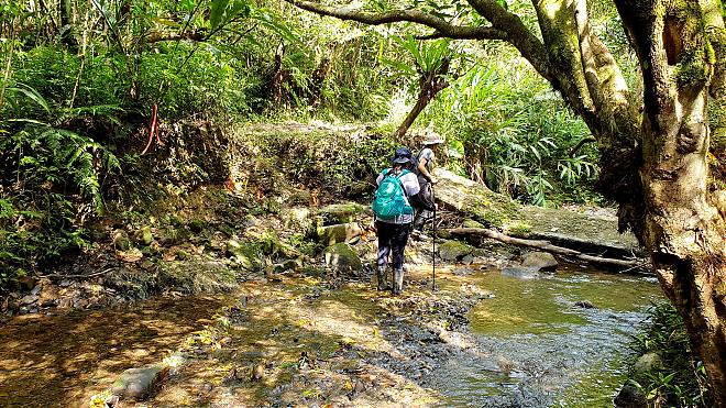 【淡蘭古道中路】崩山坑古道健行｜全程導覽+無菜單料理