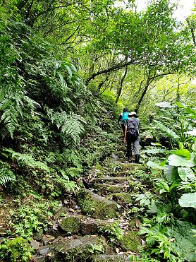 【淡蘭古道中路】崩山坑古道健行｜全程導覽+無菜單料理