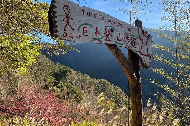 新竹司馬庫斯一日遊接駁｜舒適小車服務｜台北／新竹出發