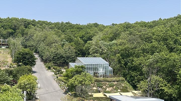 首爾出發||江華島斜坡滑車x高空滑索x生存射擊一日遊(中文服務)